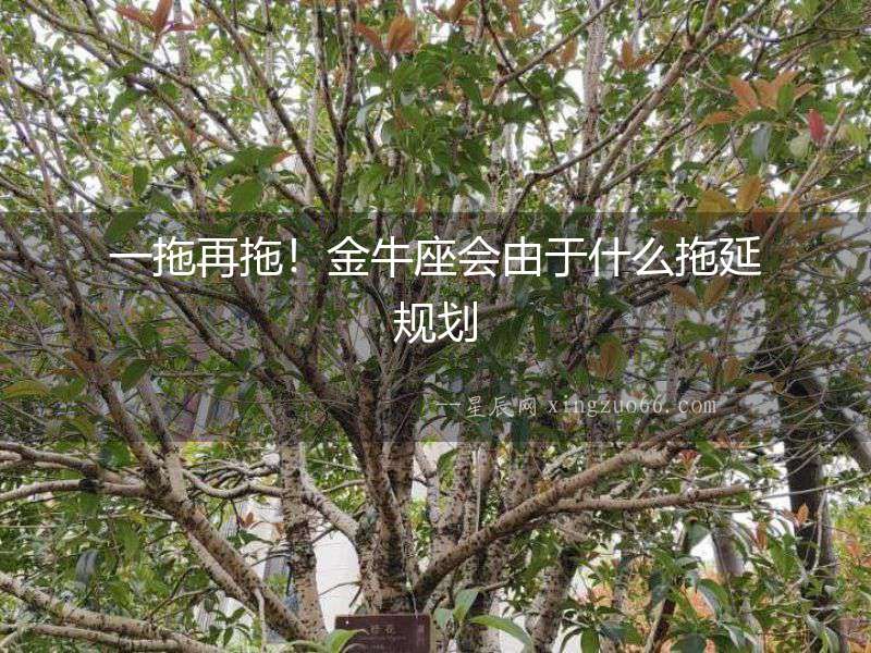 一拖再拖！金牛座會由于什么拖延規劃