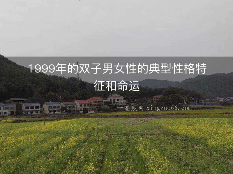 1999年的雙子男女性的典型性格特征和命運