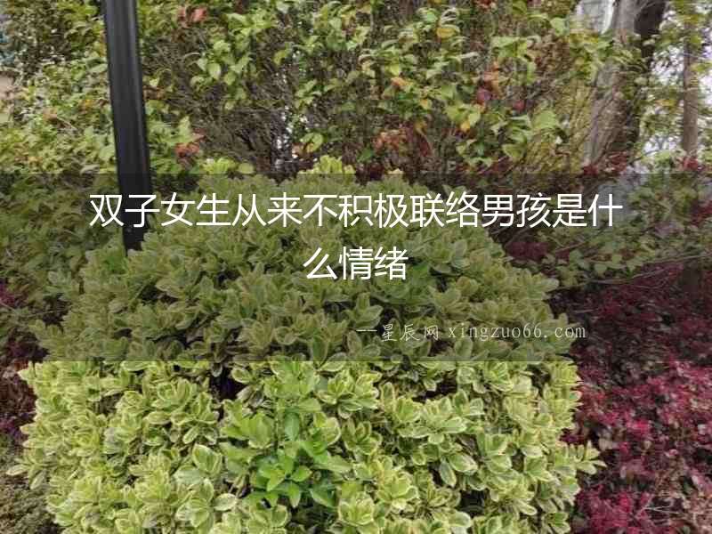 雙子女生從來不積極聯(lián)絡(luò)男孩是什么情緒