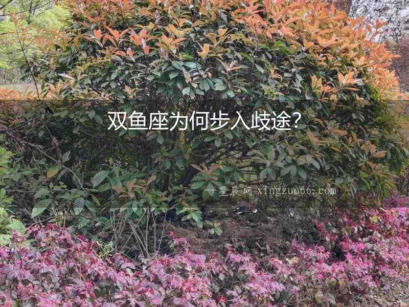 雙魚座為何步入歧途？