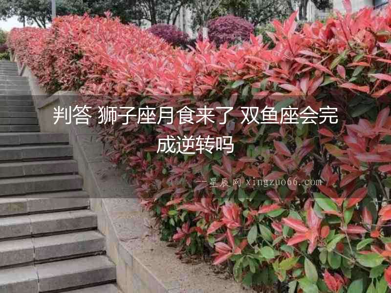 判答 獅子座月食來了 雙魚座會完成逆轉(zhuǎn)嗎
