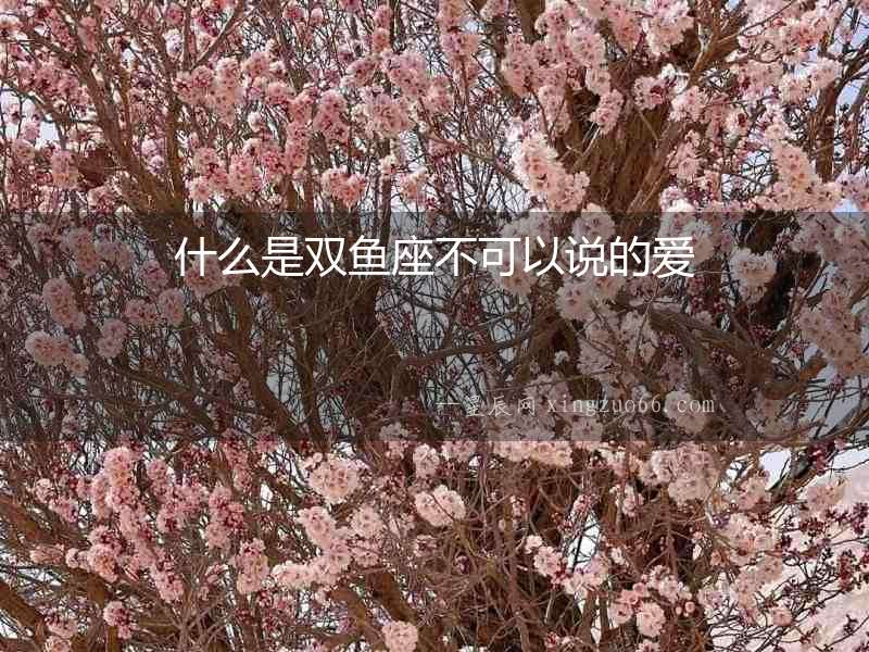 什么是雙魚座不可以說的愛
