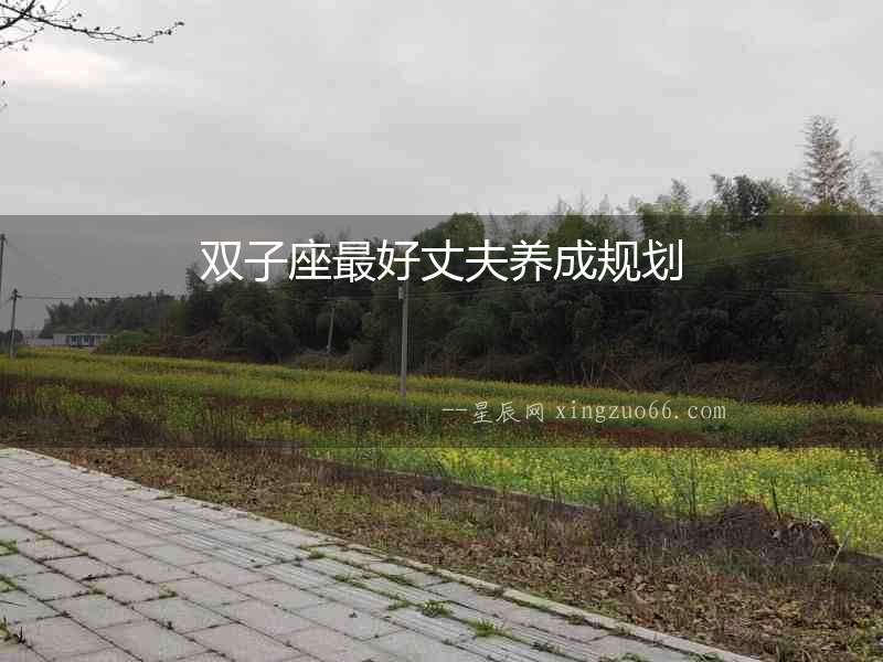 雙子座最好丈夫養成規劃
