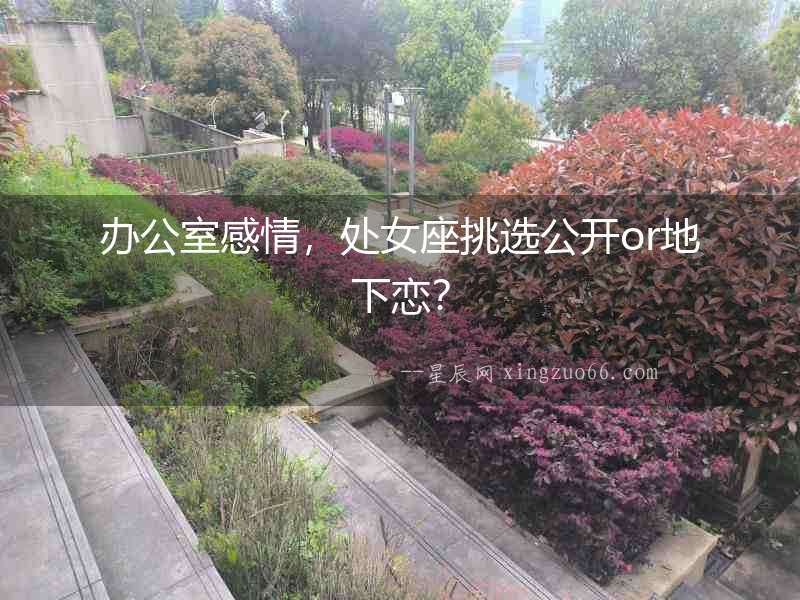 辦公室感情，處女座挑選公開(kāi)or地下戀？