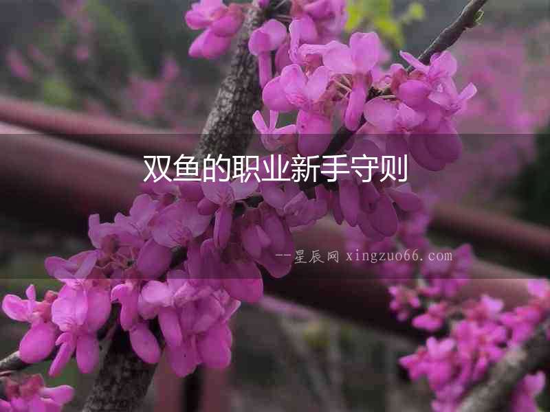 雙魚的職業新手守則