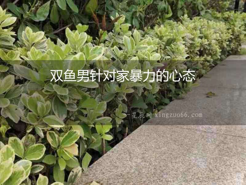 雙魚(yú)男針對(duì)家暴力的心態(tài)