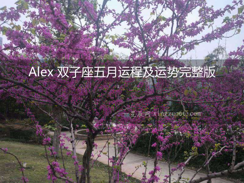 Alex 雙子座五月運程及運勢完整版