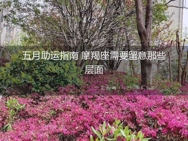 五月助運指南 摩羯座需要留意那些層面