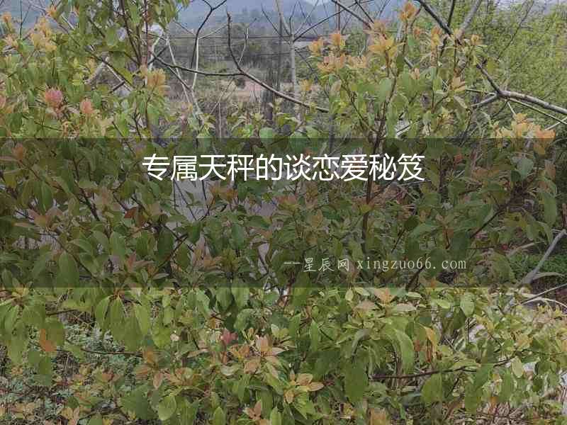 專屬天秤的談戀愛秘笈