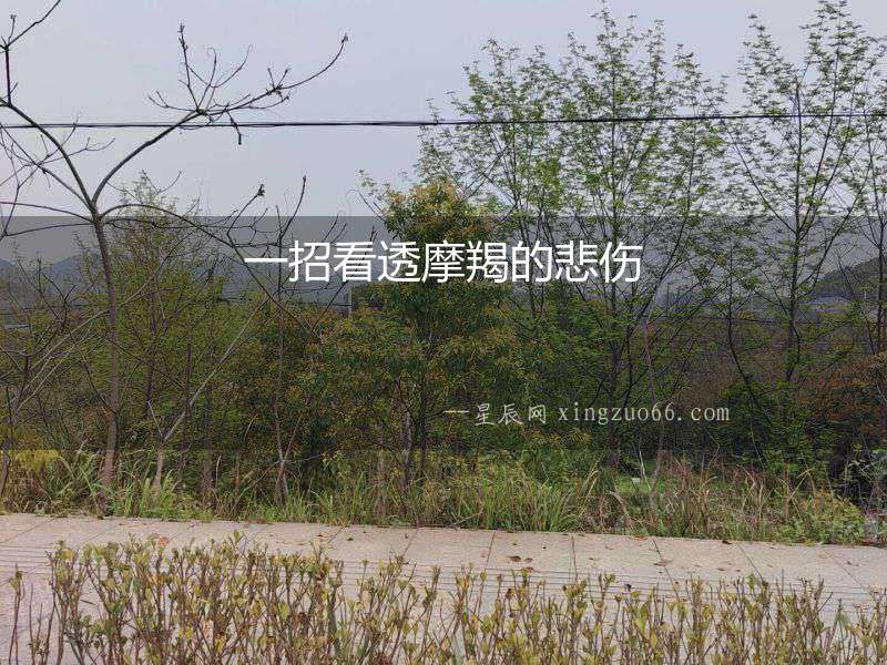 一招看透摩羯的悲傷