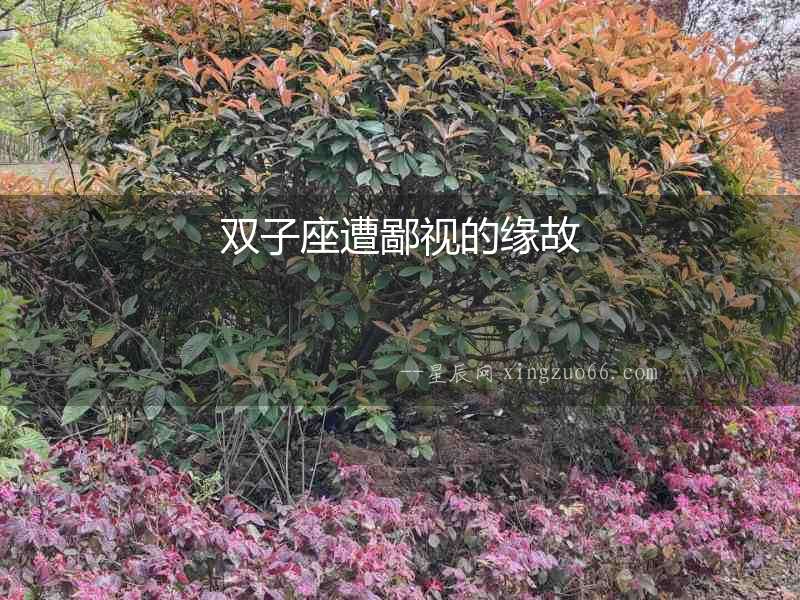 雙子座遭鄙視的緣故