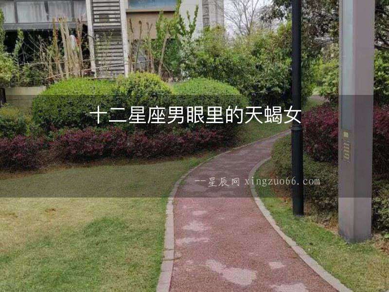 十二星座男眼里的天蝎女