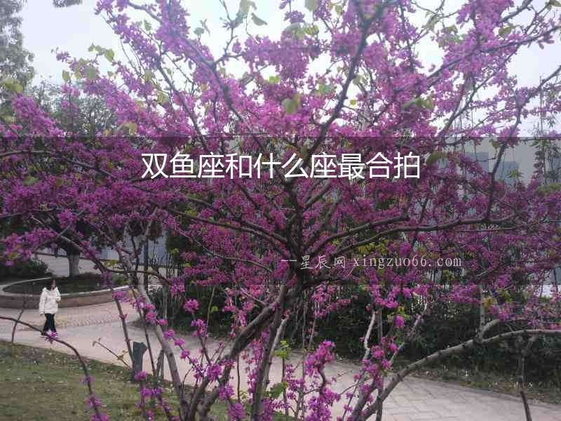 雙魚座和什么座最合拍