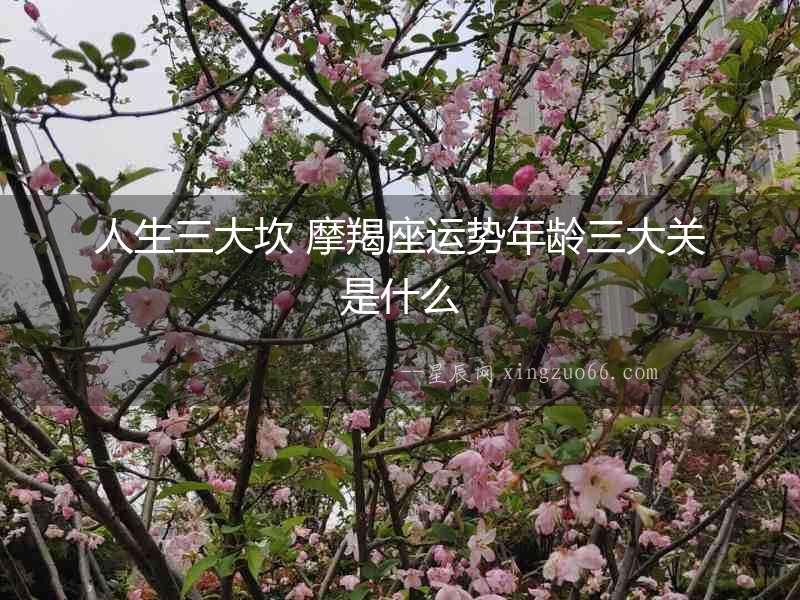 人生三大坎 摩羯座運勢年齡三大關是什么