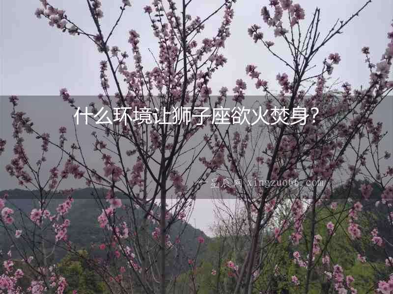 什么環境讓獅子座欲火焚身？