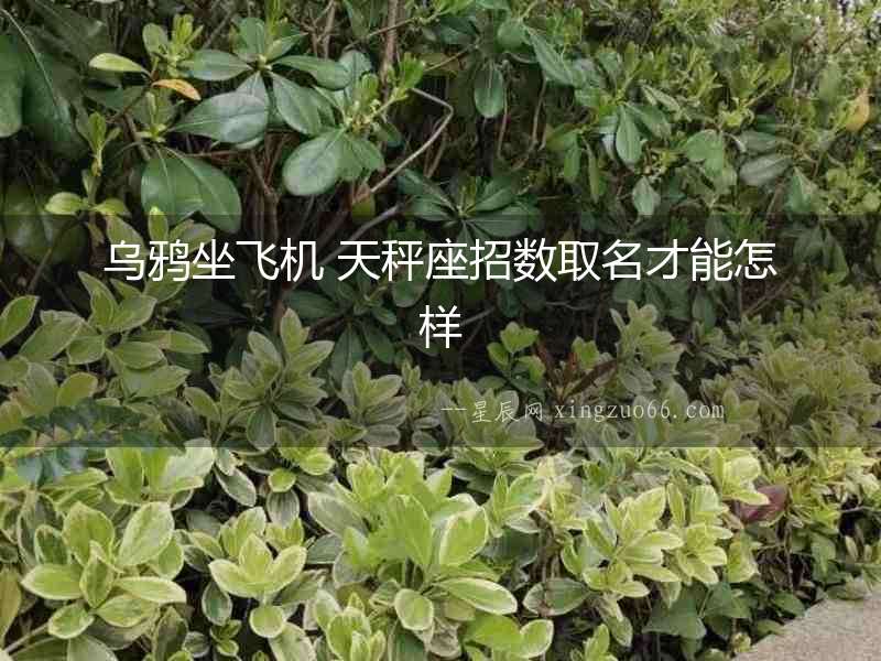 烏鴉坐飛機 天秤座招數取名才能怎樣