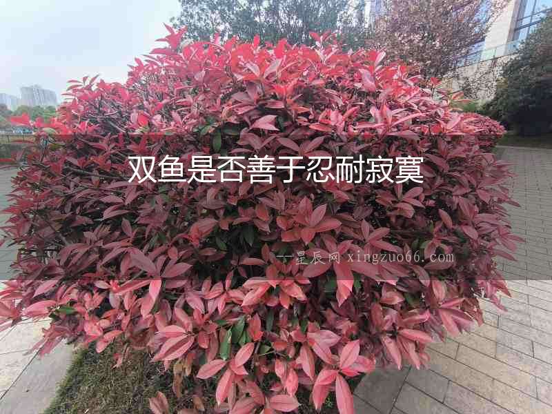 雙魚是否善于忍耐寂寞