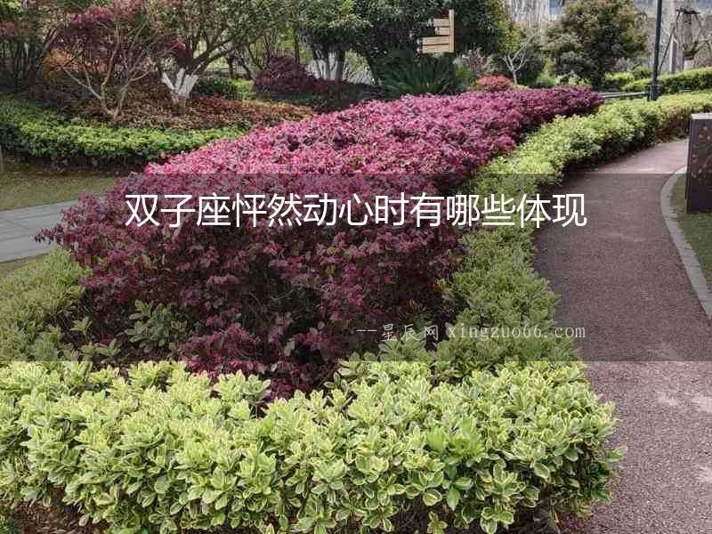 雙子座怦然動心時有哪些體現