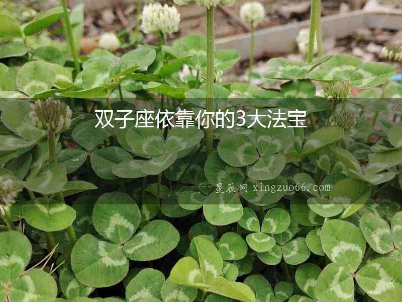 雙子座依靠你的3大法寶