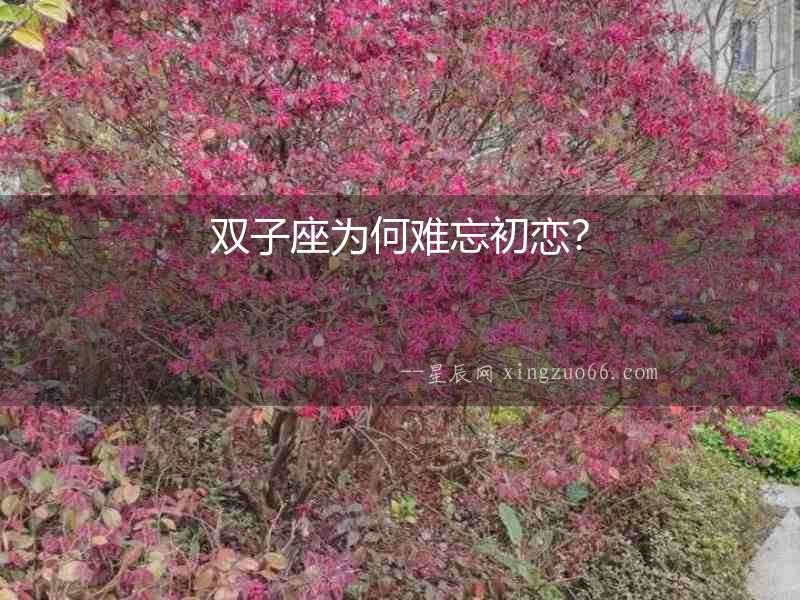 雙子座為何難忘初戀？