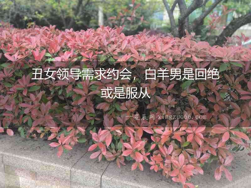 丑女領導需求約會，白羊男是回絕或是服從