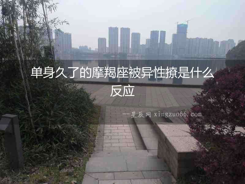 單身久了的摩羯座被異性撩是什么反應
