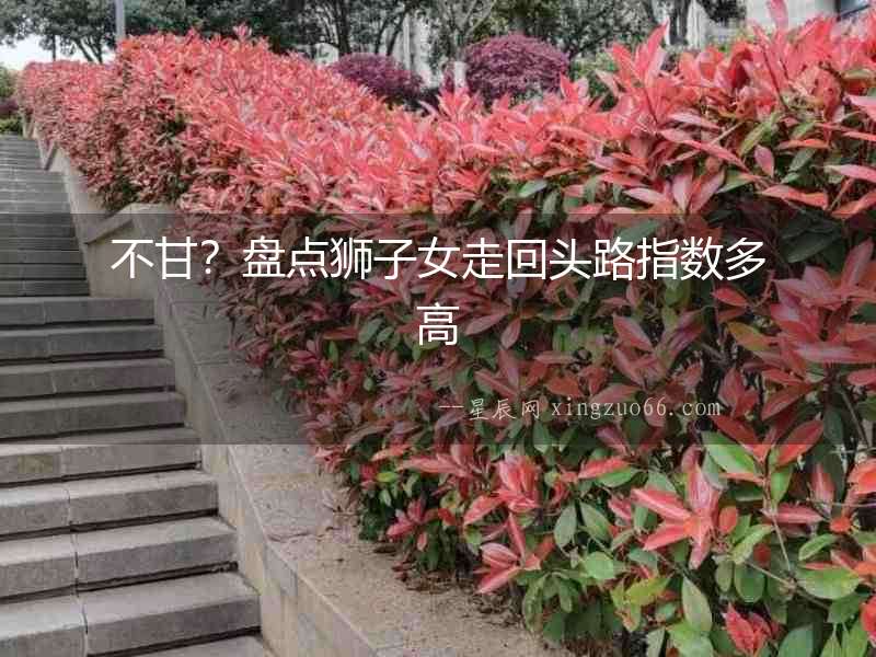 不甘？盤點獅子女走回頭路指數(shù)多高