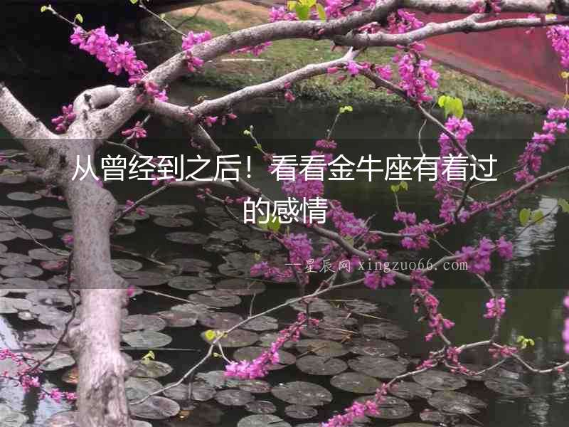從曾經到之后！看看金牛座有著過的感情