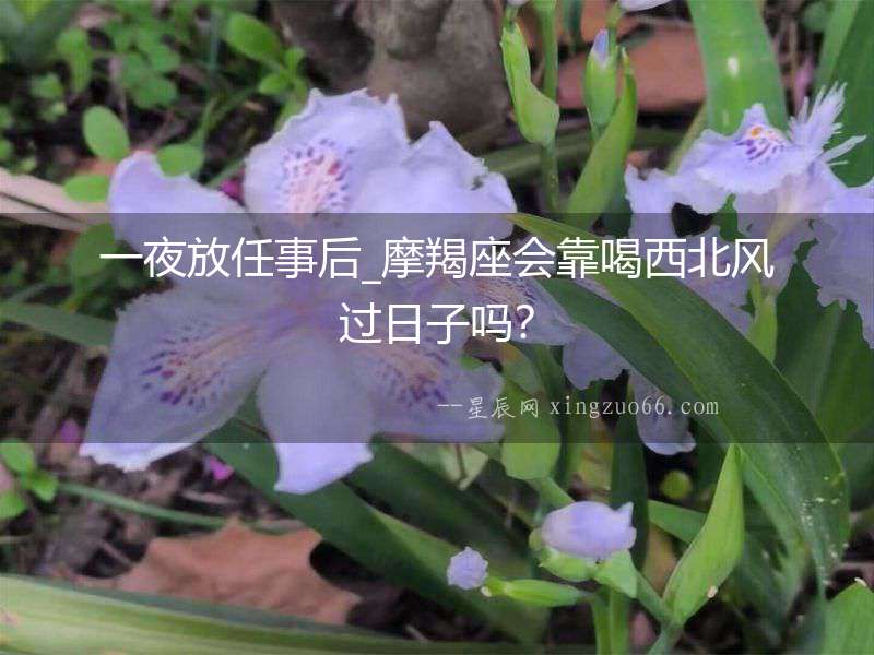 一夜放任事后_摩羯座會(huì)靠喝西北風(fēng)過日子嗎？