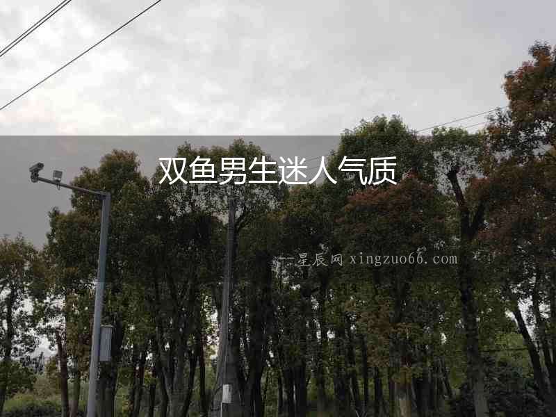 雙魚男生迷人氣質