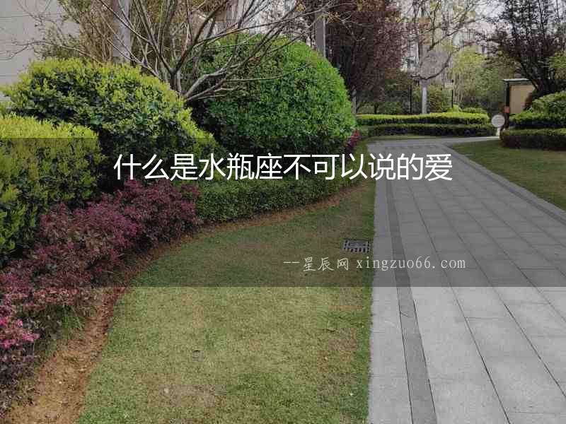 什么是水瓶座不可以說(shuō)的愛(ài)