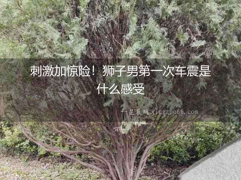 刺激加驚險(xiǎn)！獅子男第一次車震是什么感受