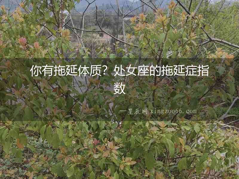 你有拖延體質？處女座的拖延癥指數