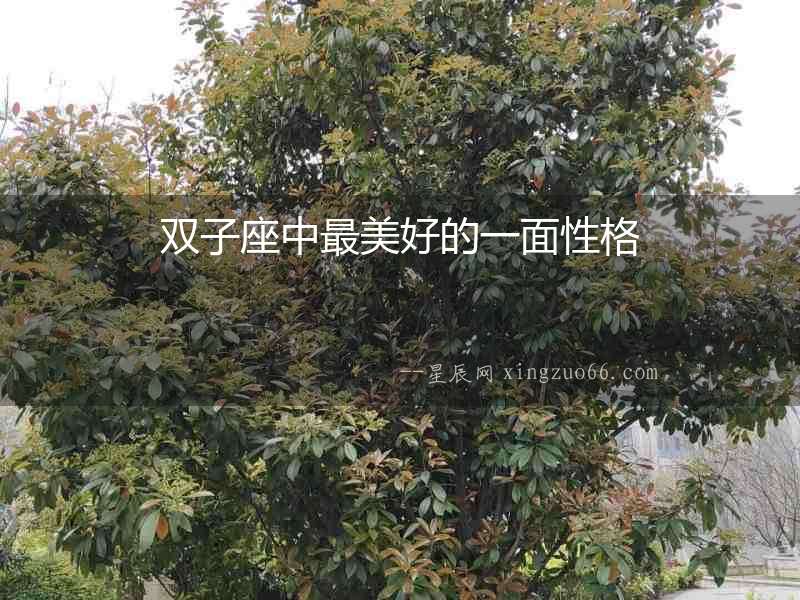 雙子座中最美好的一面性格