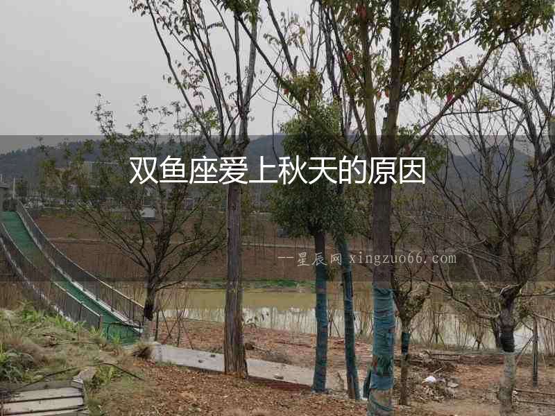 雙魚座愛上秋天的原因