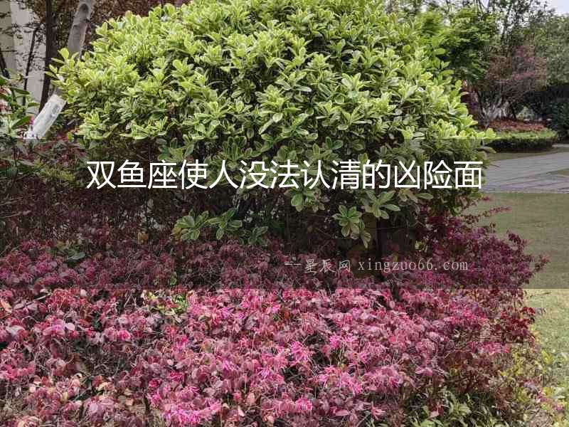 雙魚座使人沒法認清的兇險面