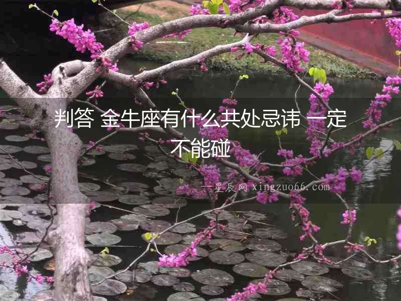 判答 金牛座有什么共處忌諱 一定不能碰