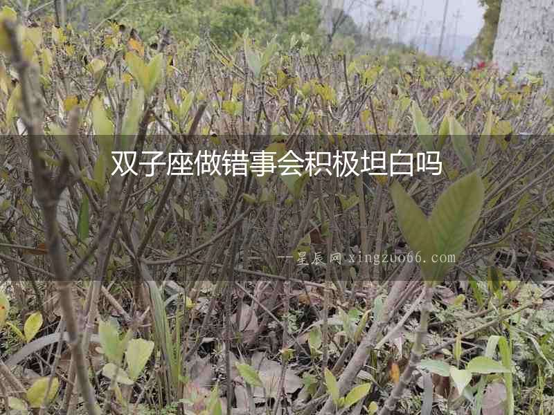 雙子座做錯事會積極坦白嗎