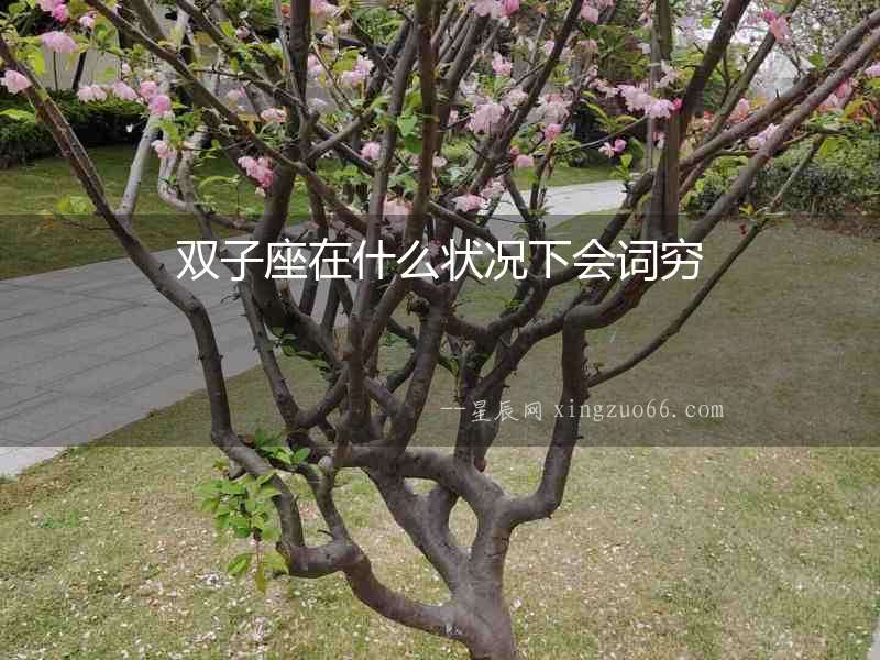雙子座在什么狀況下會詞窮