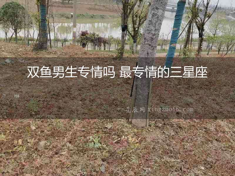 雙魚男生專情嗎 最專情的三星座