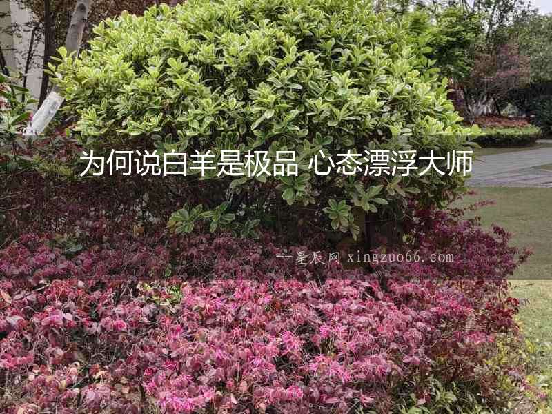 為何說白羊是極品 心態漂浮大師
