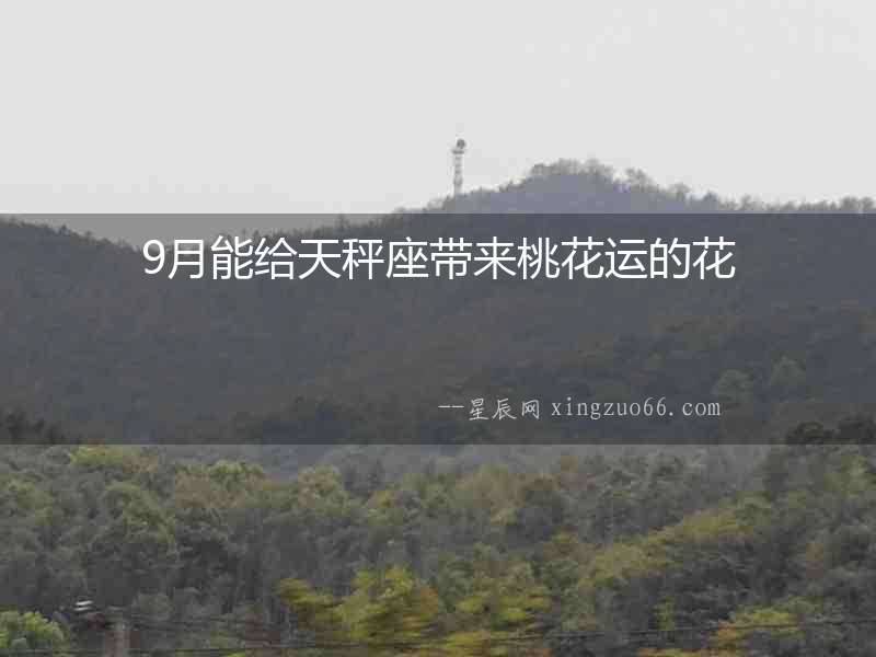 9月能給天秤座帶來桃花運的花