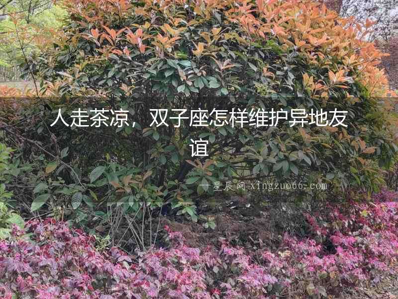 人走茶涼，雙子座怎樣維護異地友誼