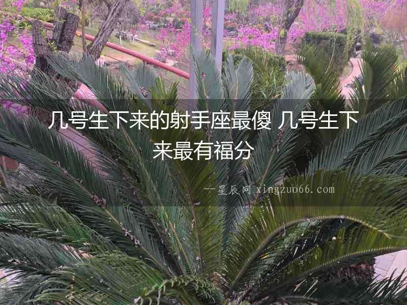 幾號生下來的射手座最傻 幾號生下來最有福分