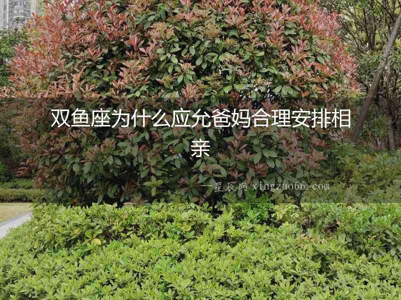 雙魚座為什么應(yīng)允爸媽合理安排相親
