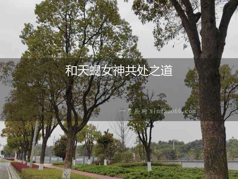 和天蝎女神共處之道