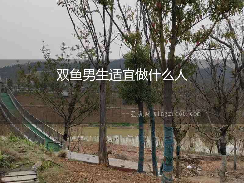 雙魚男生適宜做什么人