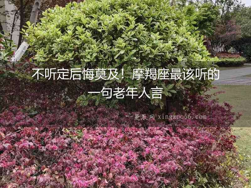 不聽定后悔莫及！摩羯座最該聽的一句老年人言