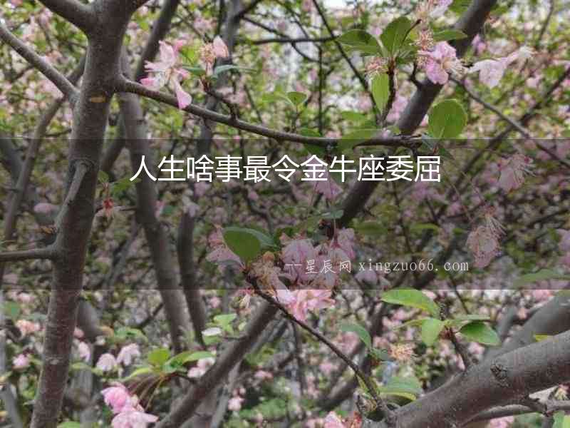 人生啥事最令金牛座委屈
