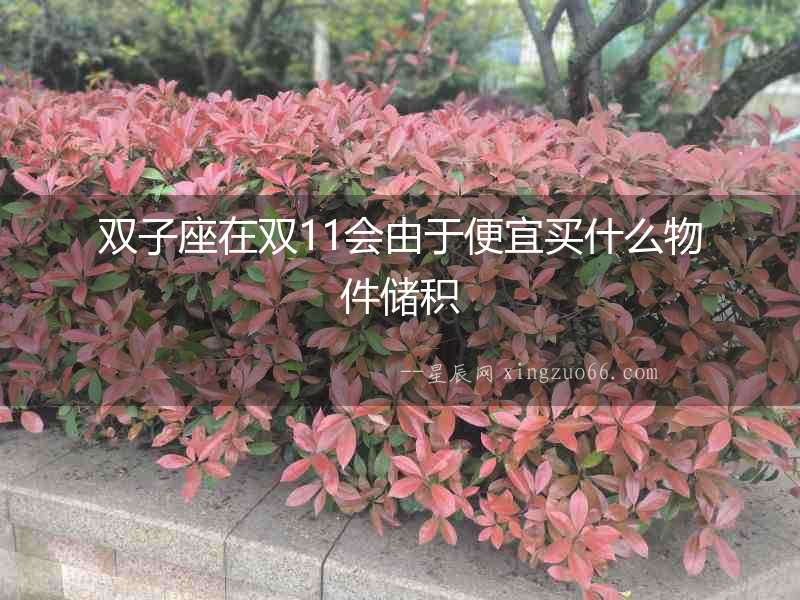 雙子座在雙11會由于便宜買什么物件儲積